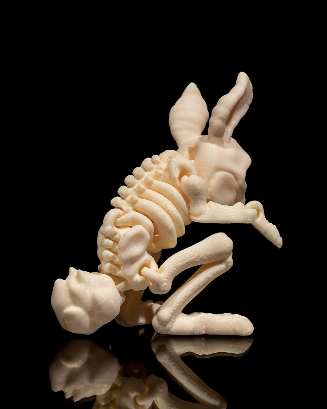Squelette Lapin articulé