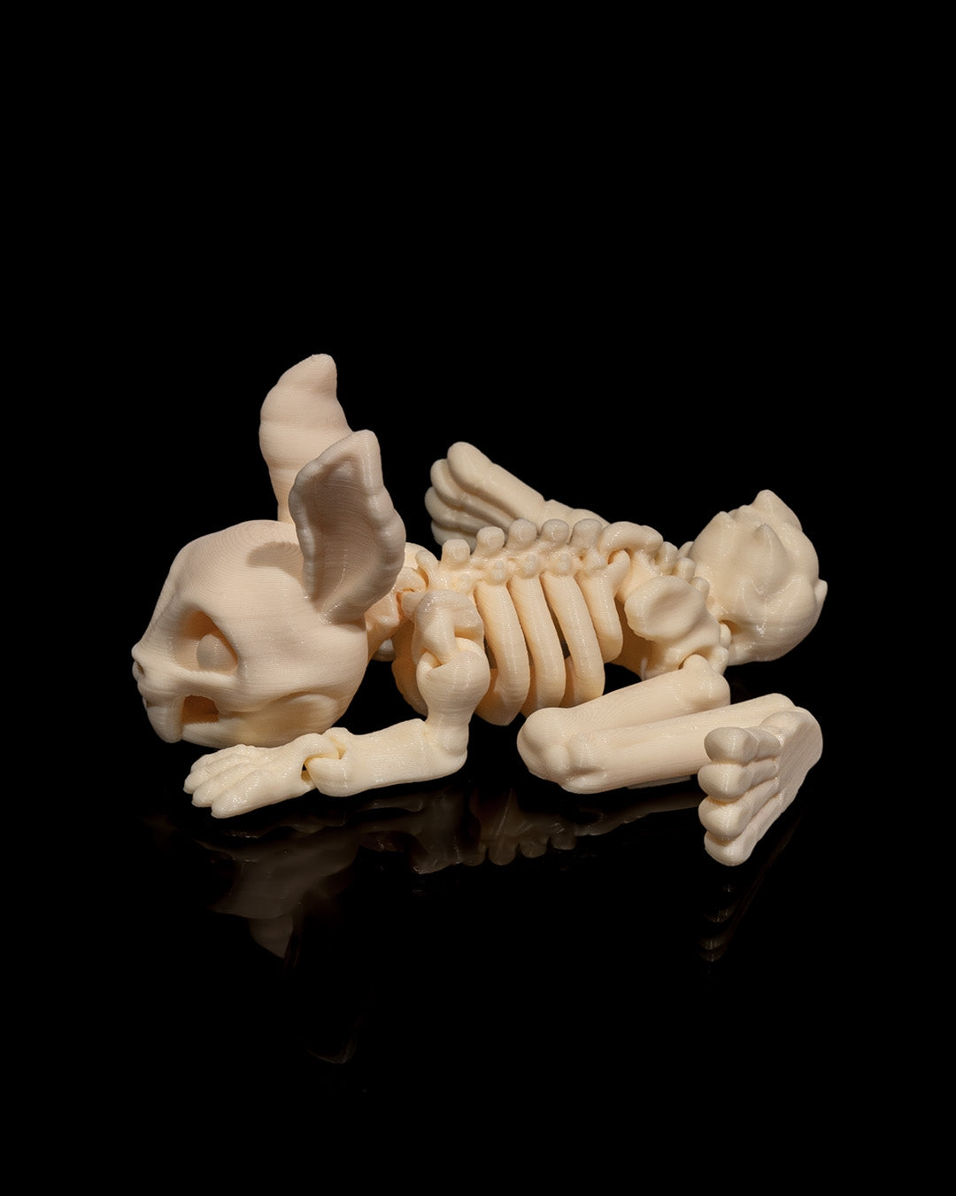 Squelette Lapin articulé