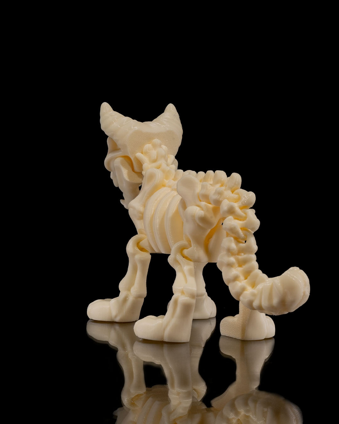 Squelette Chat articulé