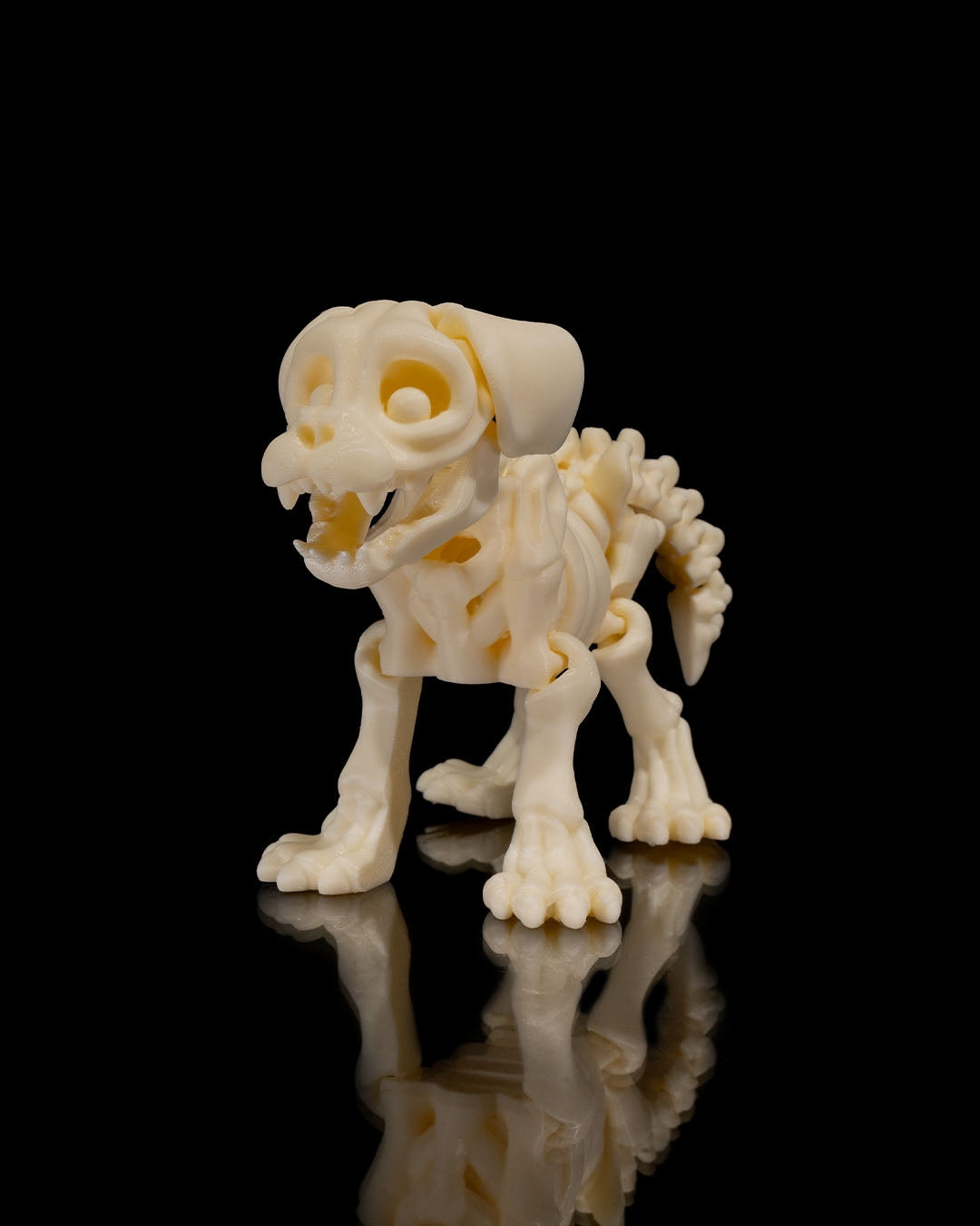 Squelette Chien articulé