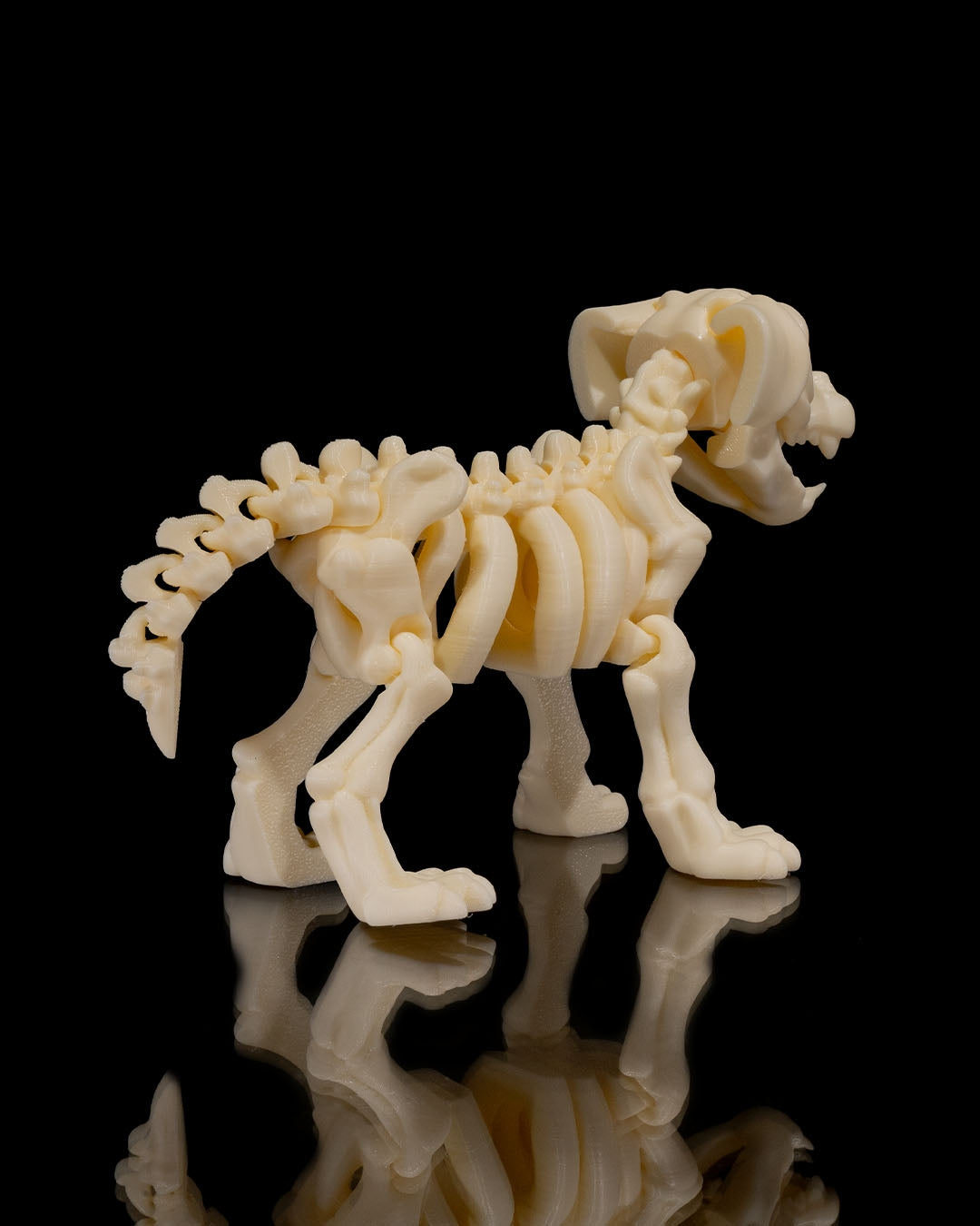Squelette Chien articulé