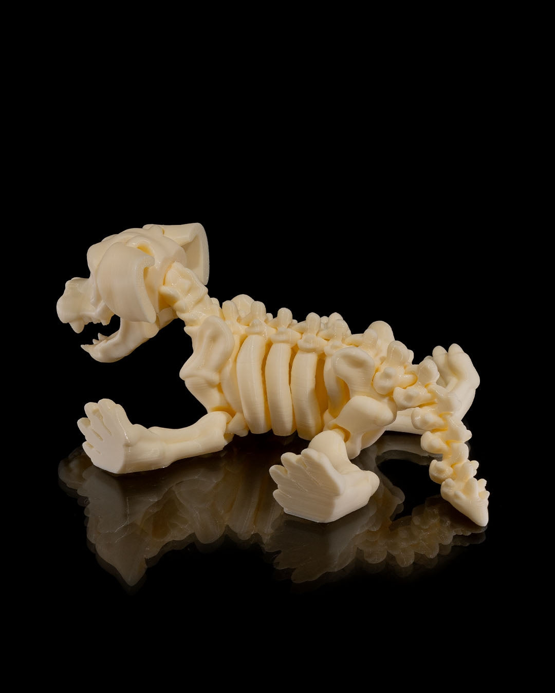 Squelette Chien articulé