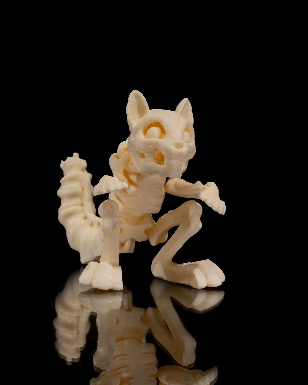 Squelette Écureuil articulé