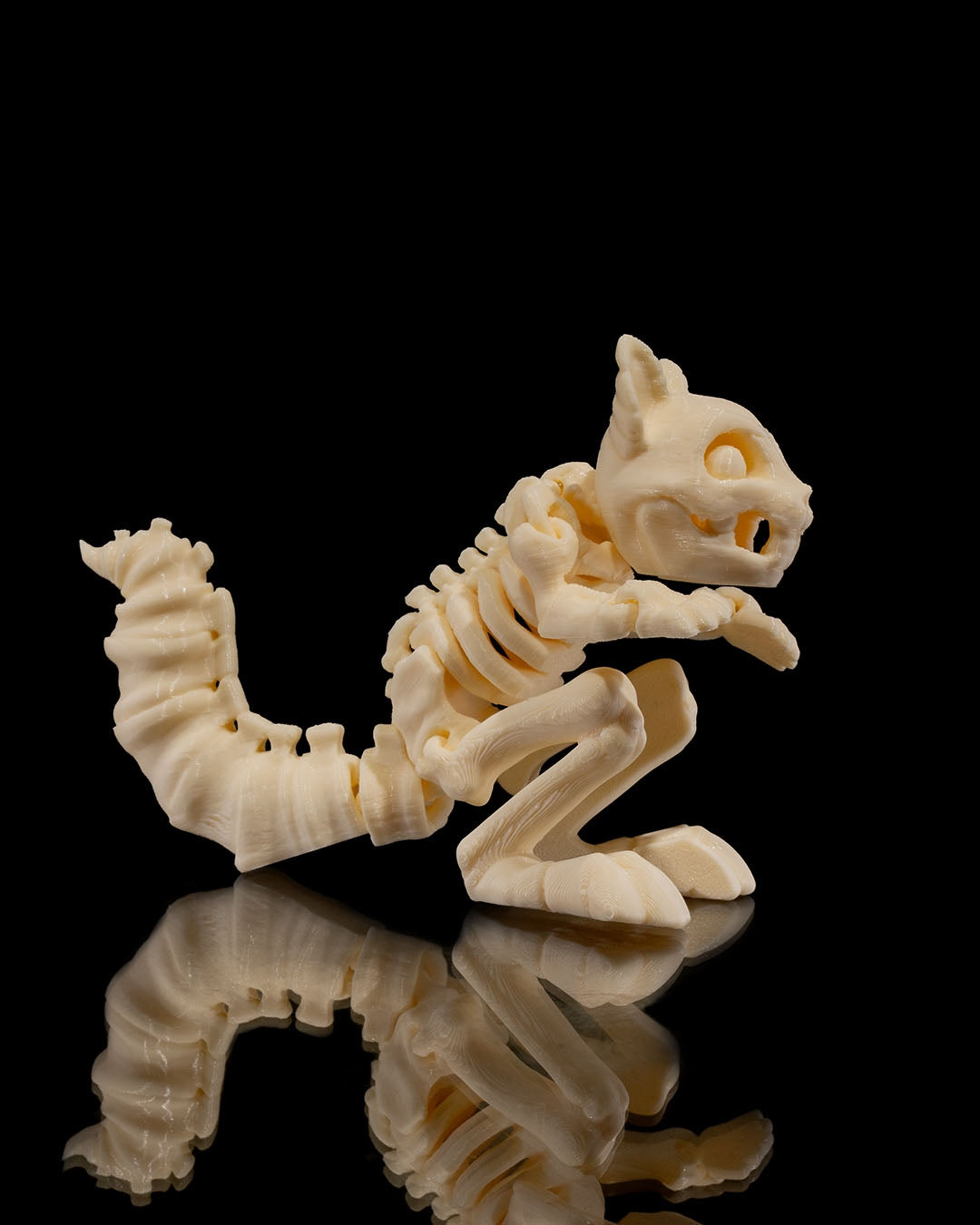 Squelette Écureuil articulé