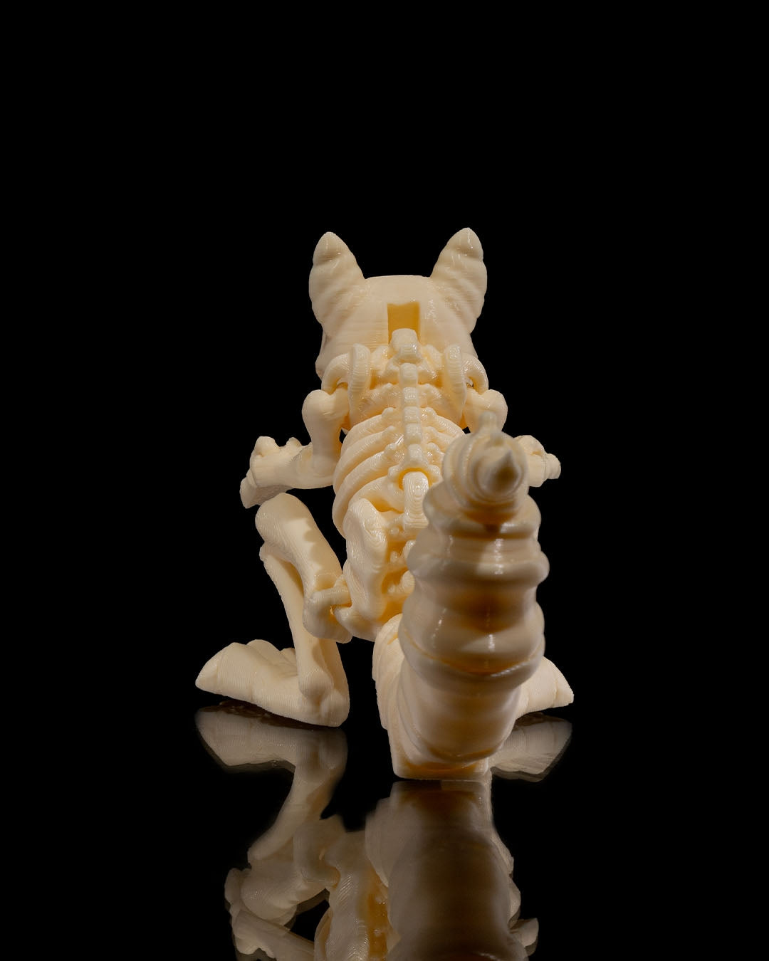 Squelette Écureuil articulé