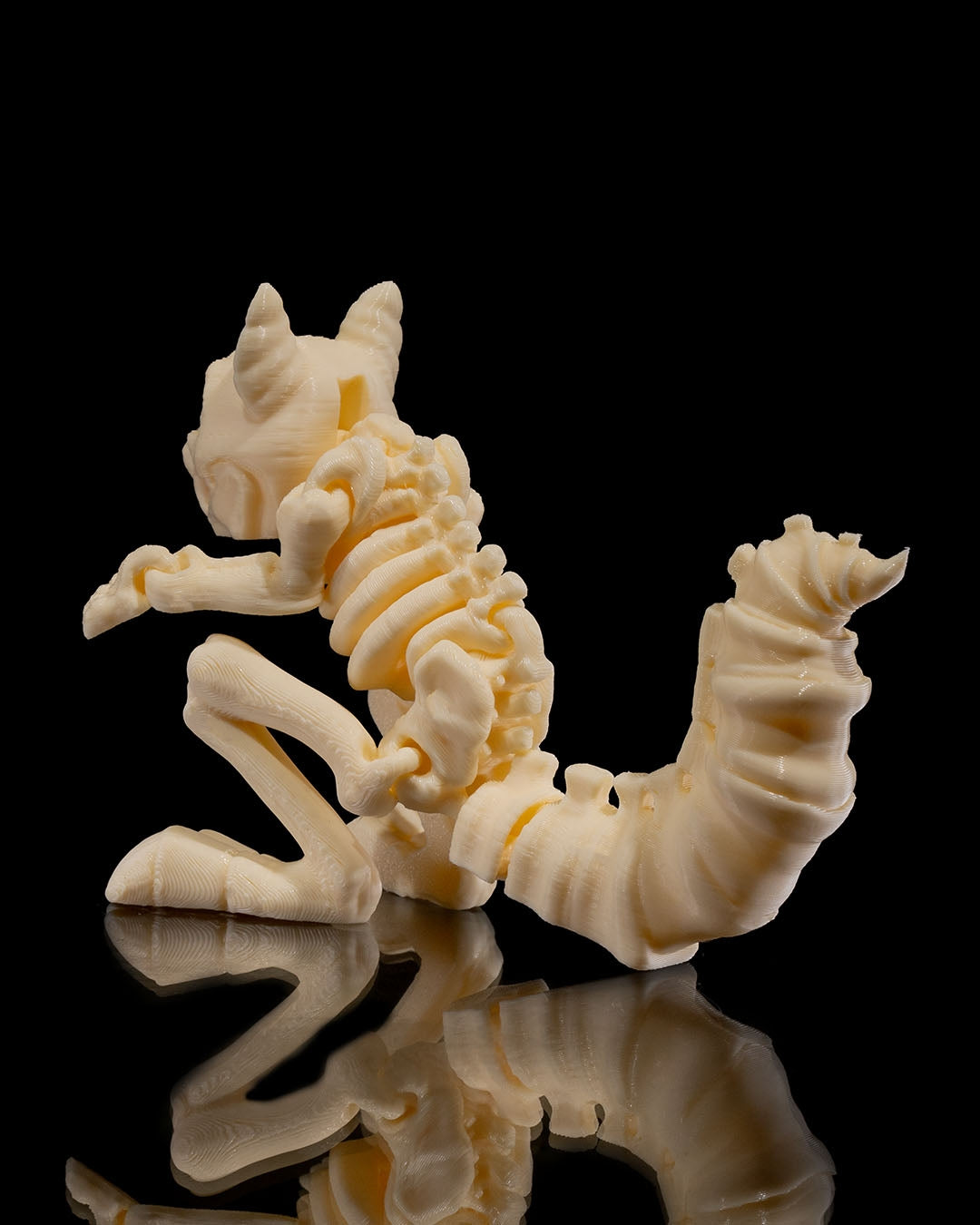 Squelette Écureuil articulé