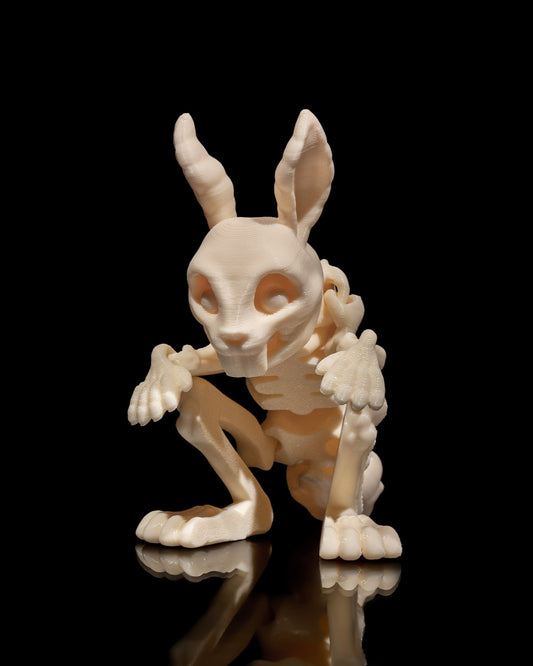 Squelette Lapin articulé