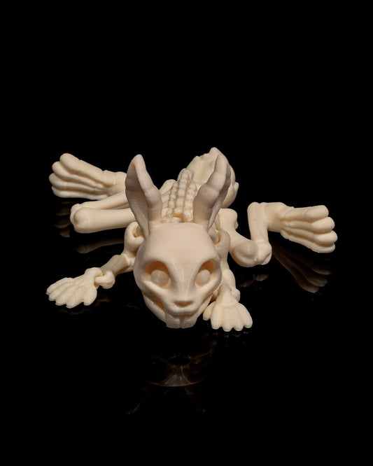 Squelette Lapin articulé