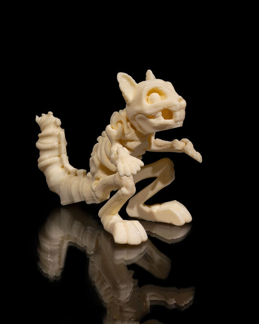 Squelette Écureuil articulé